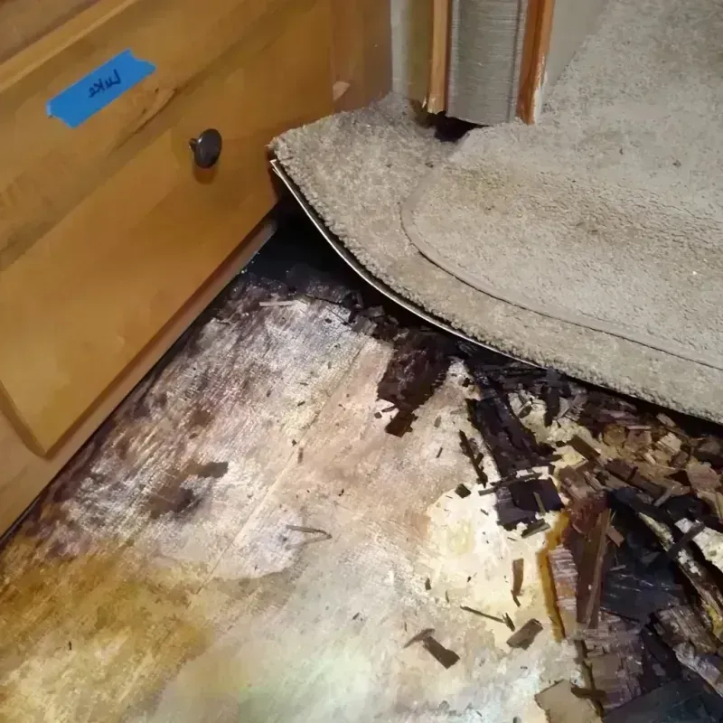 Wood Floor Water Damage in Valley Falls, SC